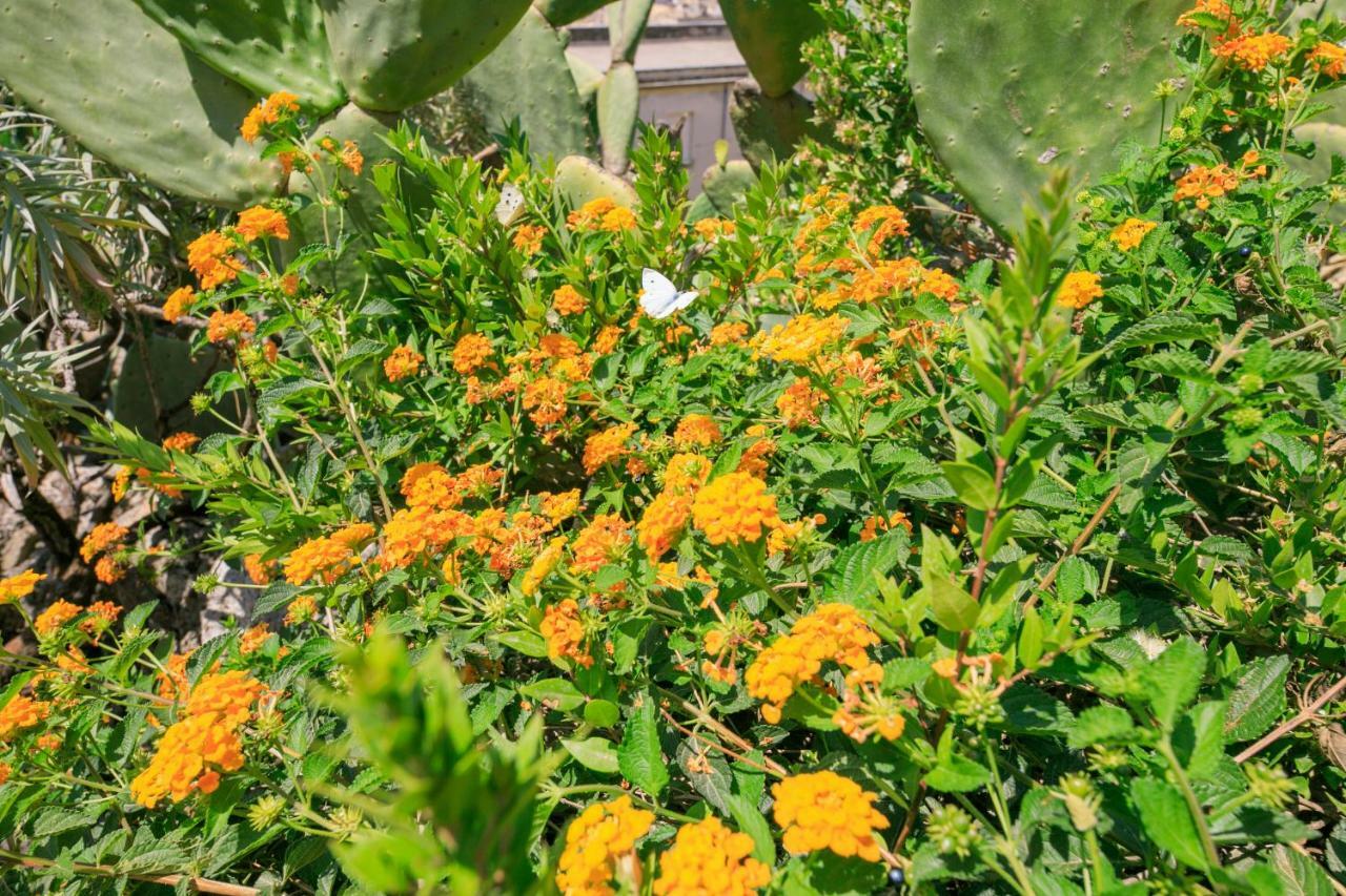 Trigona Garden Suite Noto Extérieur photo